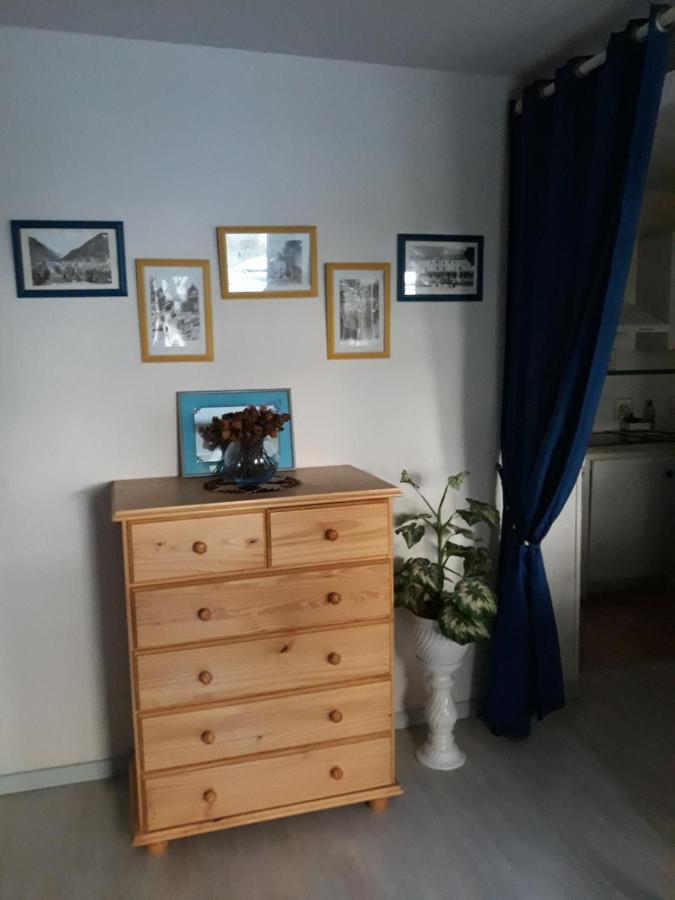 T2 Residence De L'Ars Aulus Les Bains Εξωτερικό φωτογραφία